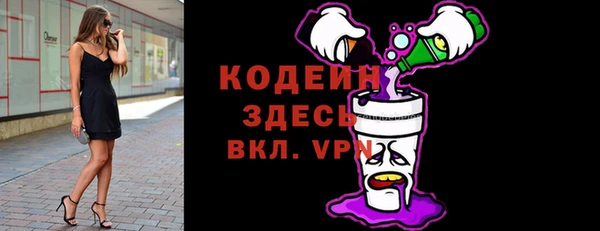 молекула духа Верхний Тагил