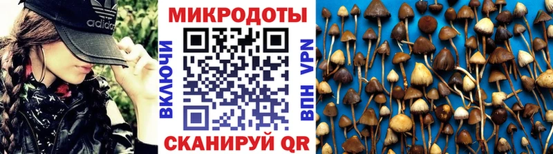 кракен ТОР  Кириши  Галлюциногенные грибы Psilocybine cubensis 
